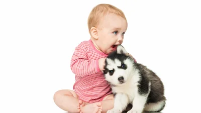 Survey: Nearly 40% of dog owners chose pets over parenthood